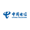 中国电信集团